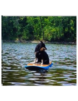 Fundraising Page Image