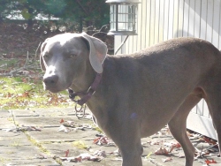 Fundraising Page Image