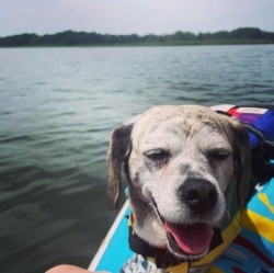 Fundraising Page Image